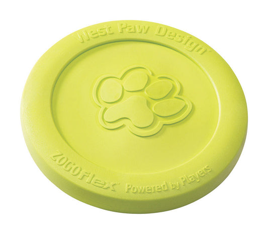 Durable Synthetic Rubber Frisbee for Dogs of All Sizes