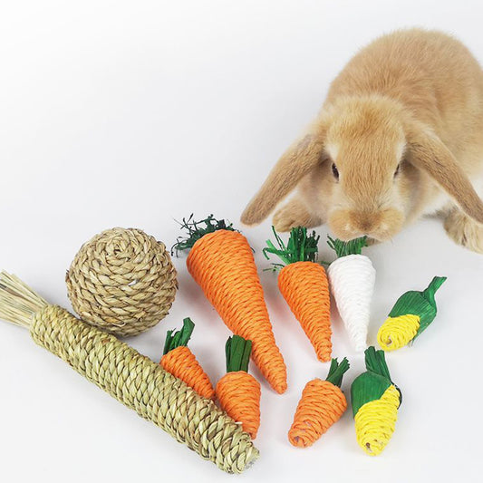 Hamster Rabbit Chew Toy - Perfect for Small Pets