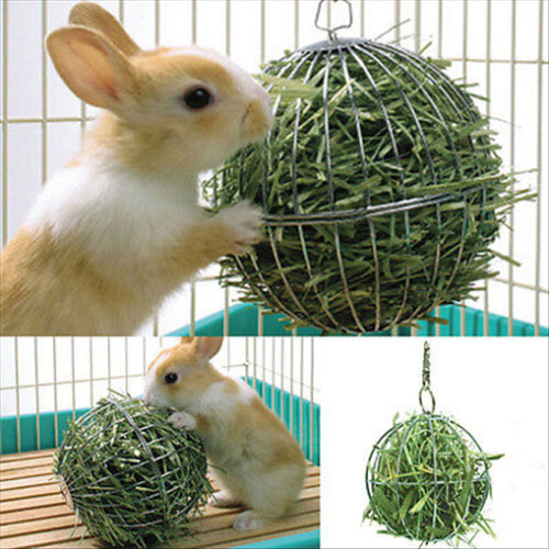 Stainless Steel Hanging Hay Ball for Small Animals