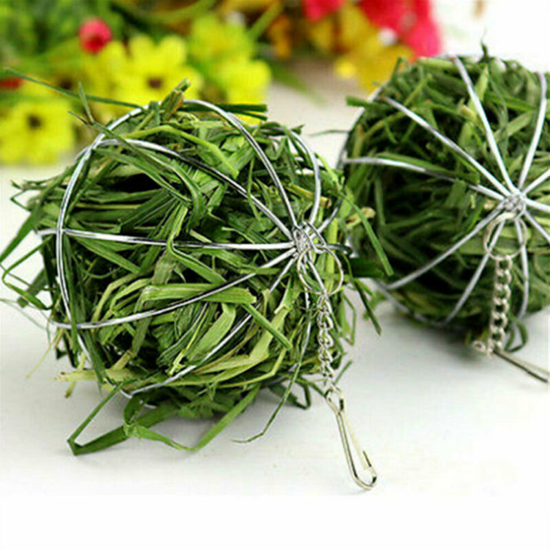 Stainless Steel Hanging Hay Ball for Small Animals