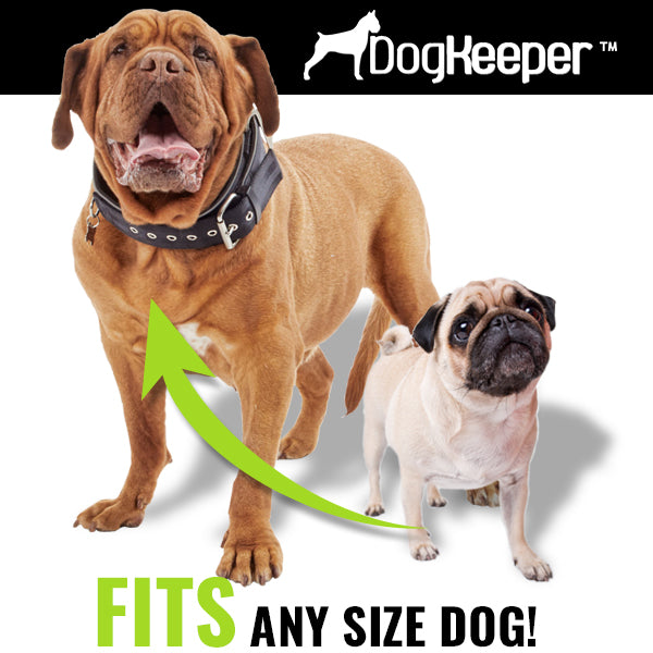  The Ultimate Solution for Your Dog's Freedom and Safety!