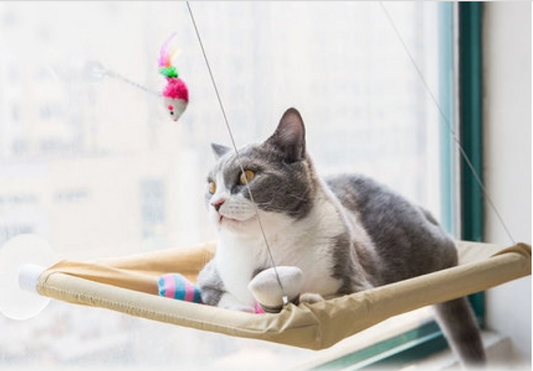 Cozy Cat Window Bed for a Relaxing View