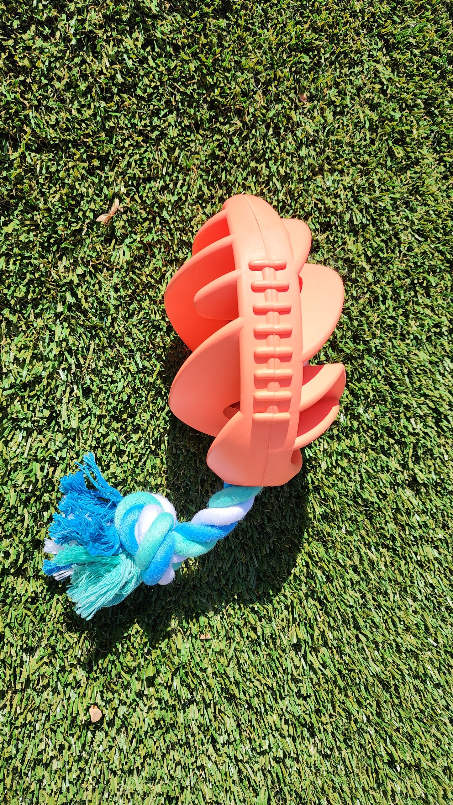 Interactive Football Dog Chew Toy for Fetch and Playtime